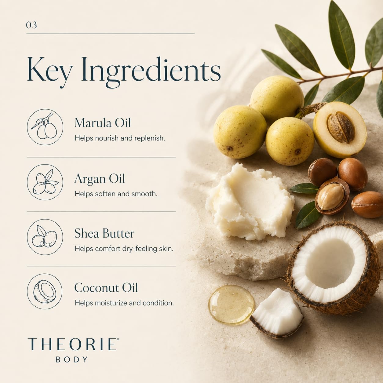 Theorie Premium Nourishing Body Wash - Made with Marula Oil, Argan Oil, Coconut Oil & Shea Butter - Featuring our Amber Rose Fragrance - Vegan Beauty & Personal Care Theorie