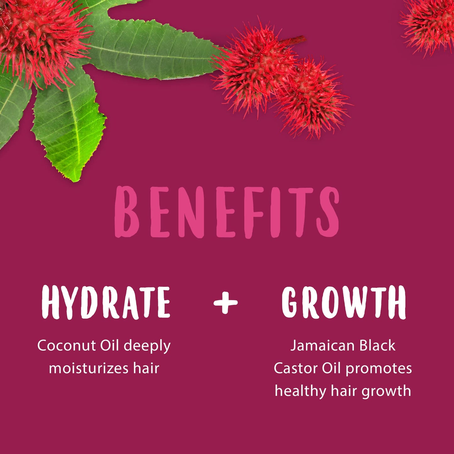 Cantu Jamaican Black Castrol Oil Finishing Spray with Coconut Oil 4 oz Beauty & Personal Care Cantu