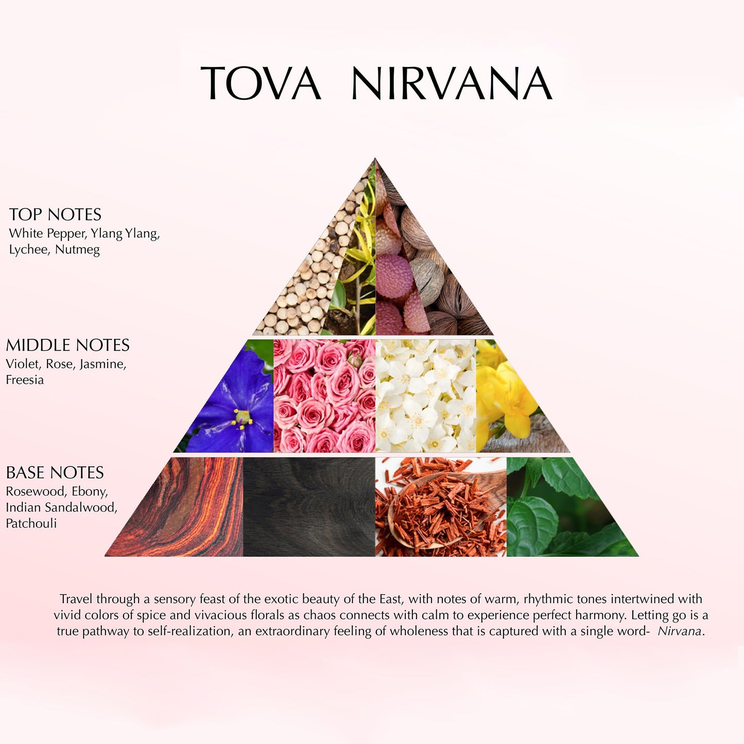 Tova Nirvana Ladies Eau De Parfum Spray 1.7 Oz Beauty & Personal Care Tova