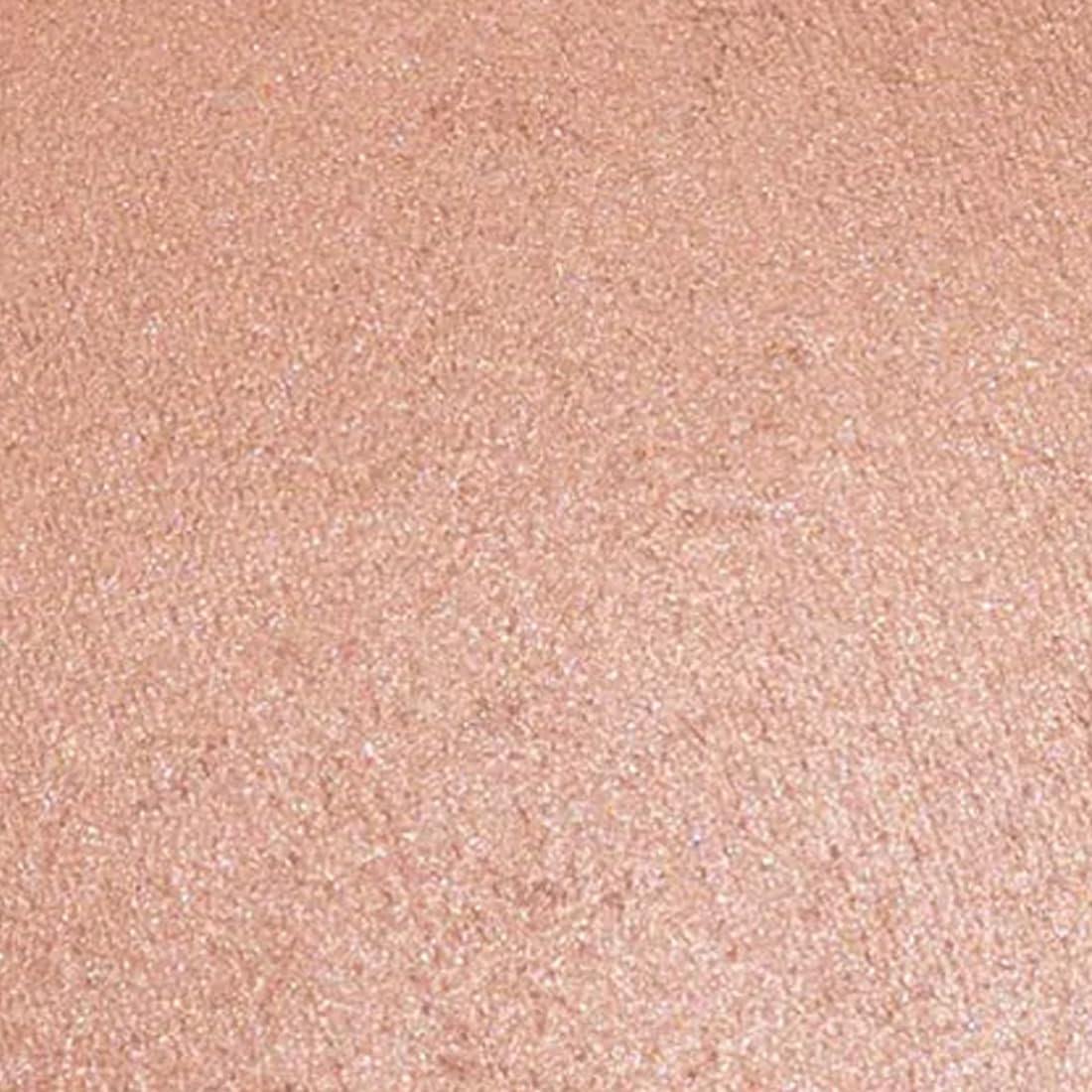 Palladio Baked Bronzer, Highly Pigmented and Easy to Blend, Shimmery Bronzed Glow, Use Dry or Wet, Lasts all day long, Provides Rich Tanning Color Beauty & Personal Care Palladio