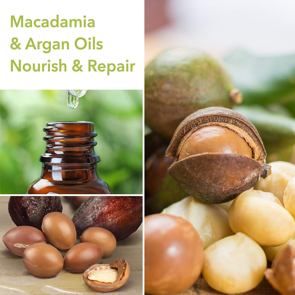 Macadamia Professional Hair Care Sulfate & Paraben Free Natural Organic Cruelty-Free Vegan Hair Products Ultra Rich Hair Repair Shampoo, 10oz Beauty & Personal Care Macadamia Professional