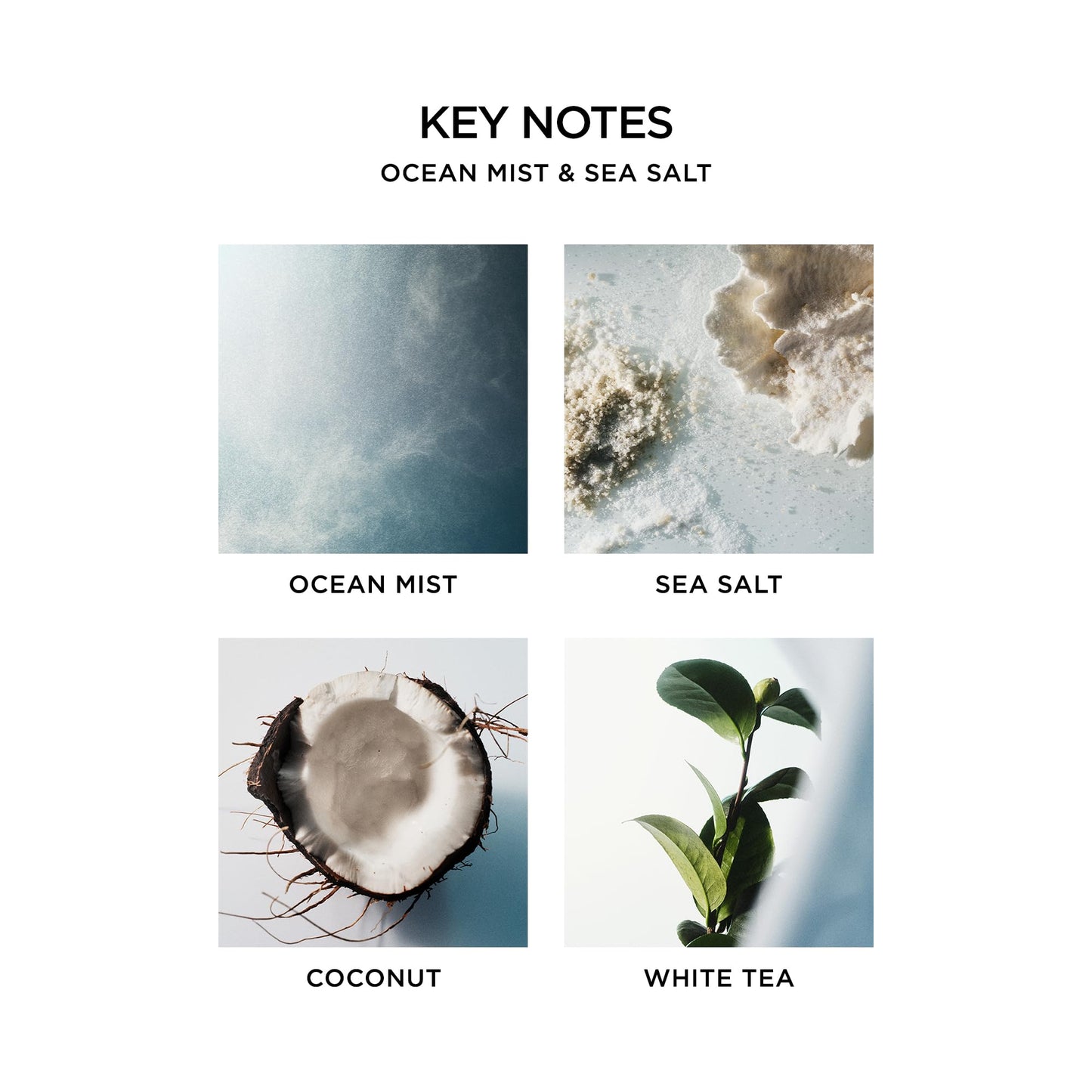 NEST New York Liquid Soap, Ocean Mist & Sea Salt - 10 fl oz - Cleanses & Nourishes Skin - Approx. 300 Pumps Per Bottle - Gluten Free & Cruelty Free Beauty & Personal Care NEST New York