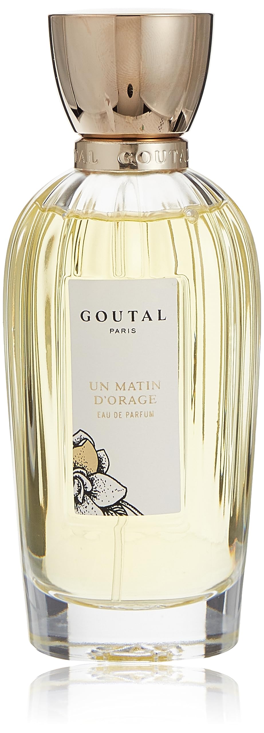 Un Matin D'Orage Eau De Parfum Spray 100ml/3.4oz Beauty & Personal Care Annick Goutal