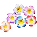 Calcifer® 30pcs 1.97''Hawaii Hawaiian Plumeria Flower Clips Bridal Wedding Party Beach Hair Clips(5CM,1.97inches) Beauty & Personal Care Calcifer