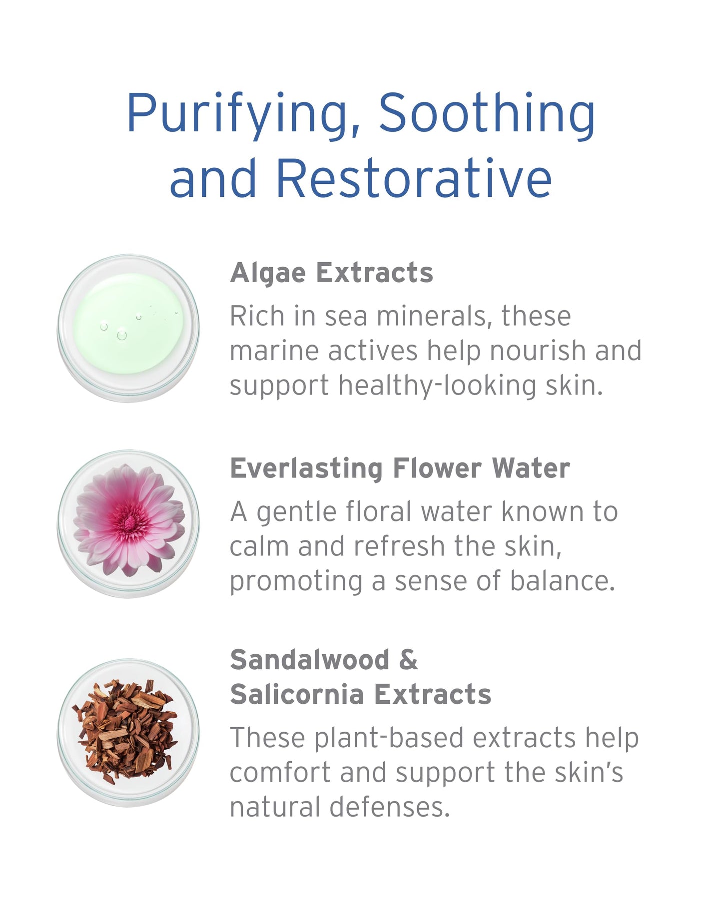 Kerstin Florian Rehydrating Algae Gel Masque | Hydrating Face Mask for Dry Skin | Clarifies & Nourishes with Plant Extracts | 2.7 fl oz Beauty & Personal Care Kerstin Florian