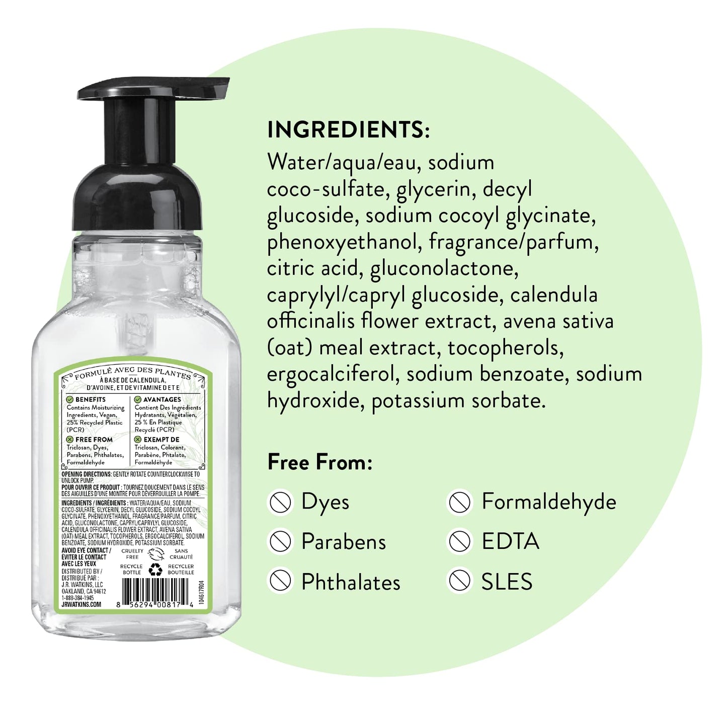 Watkins 20623 9 oz Aloe & Green Tea Scent Foaming Hand Soap Beauty & Personal Care J.R. Watkins