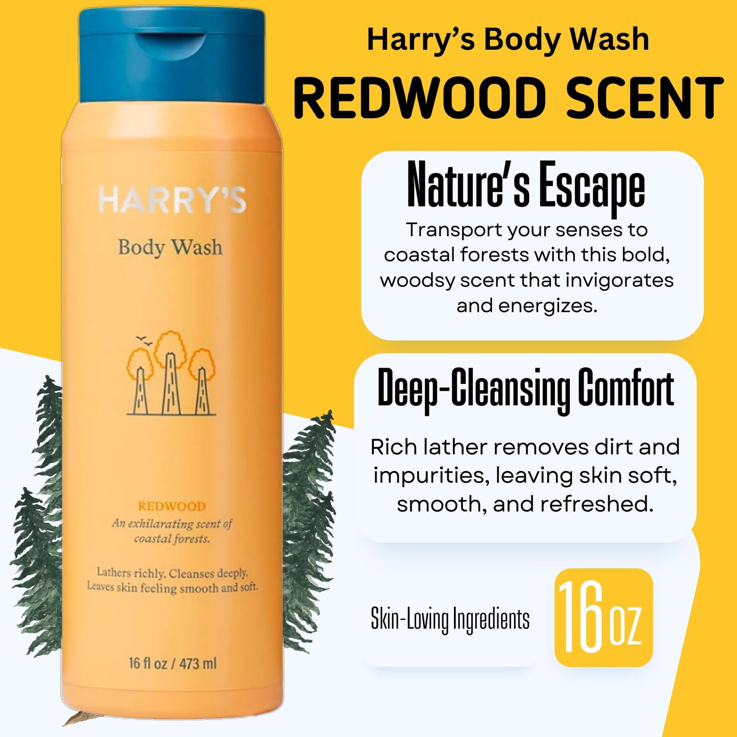 Harry's Men's Body Wash, 18 Fl oz (Pack of 4) | Men's Body Wash and Shower Gel Variety Pack - Stone, Redwood, Fig & Spring Scent | Sulfate-Free Beauty & Personal Care Harry's