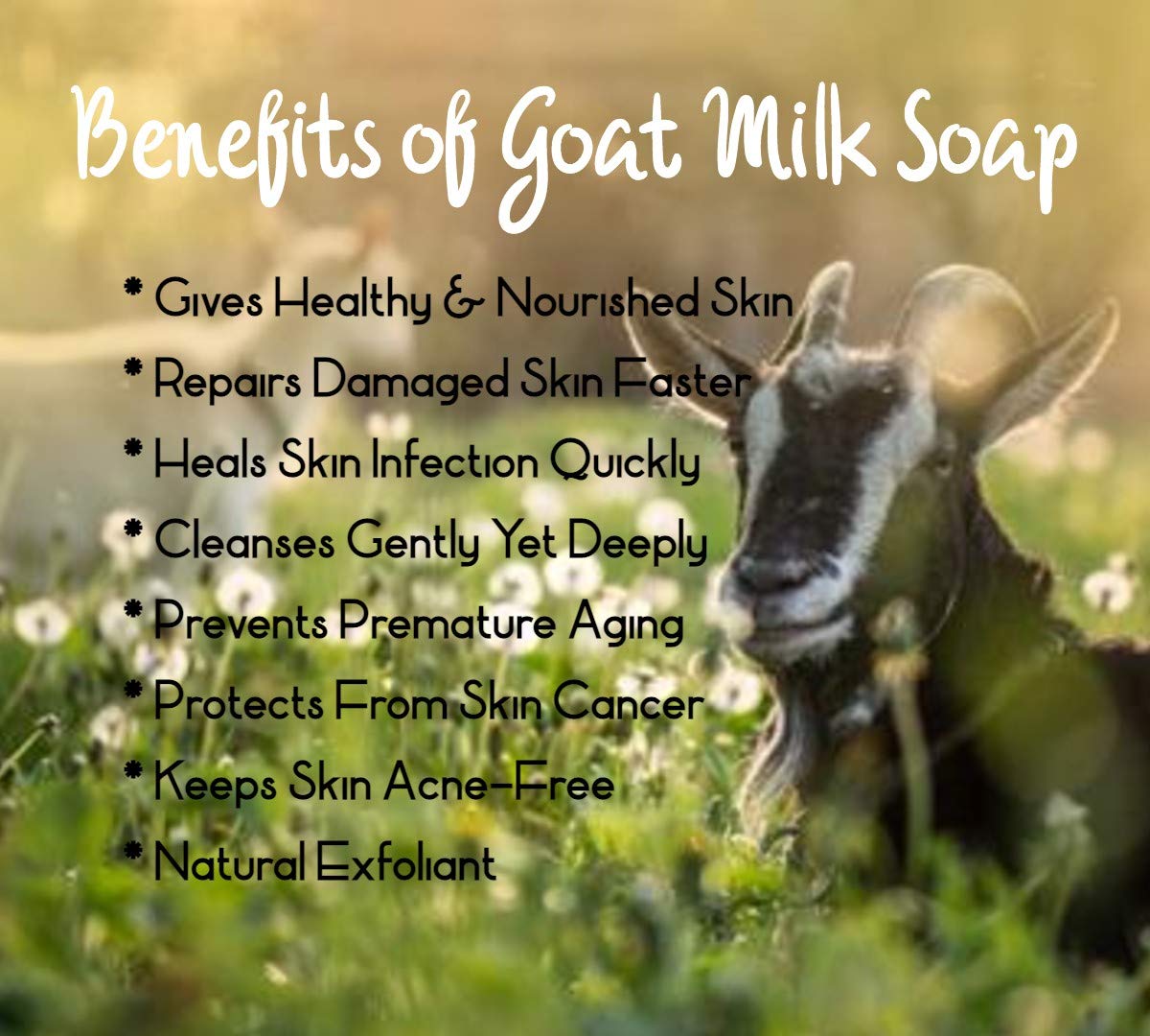 SUNAROMA Soap - 8.5oz (Goat*s Milk with Shea Butter and Manuka Honey) Beauty & Personal Care SUNAROMA