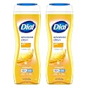 Dial Body Wash, Gold 16 oz (Pack of 2) Beauty & Personal Care Dial