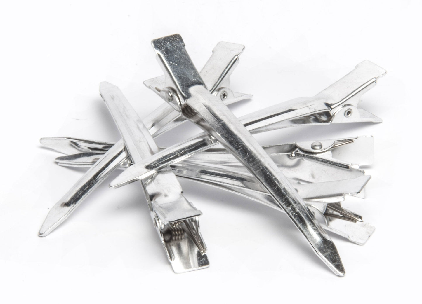 Diane Duck Bill Hair Clips, Silver, 24-pack Beauty & Personal Care Diane