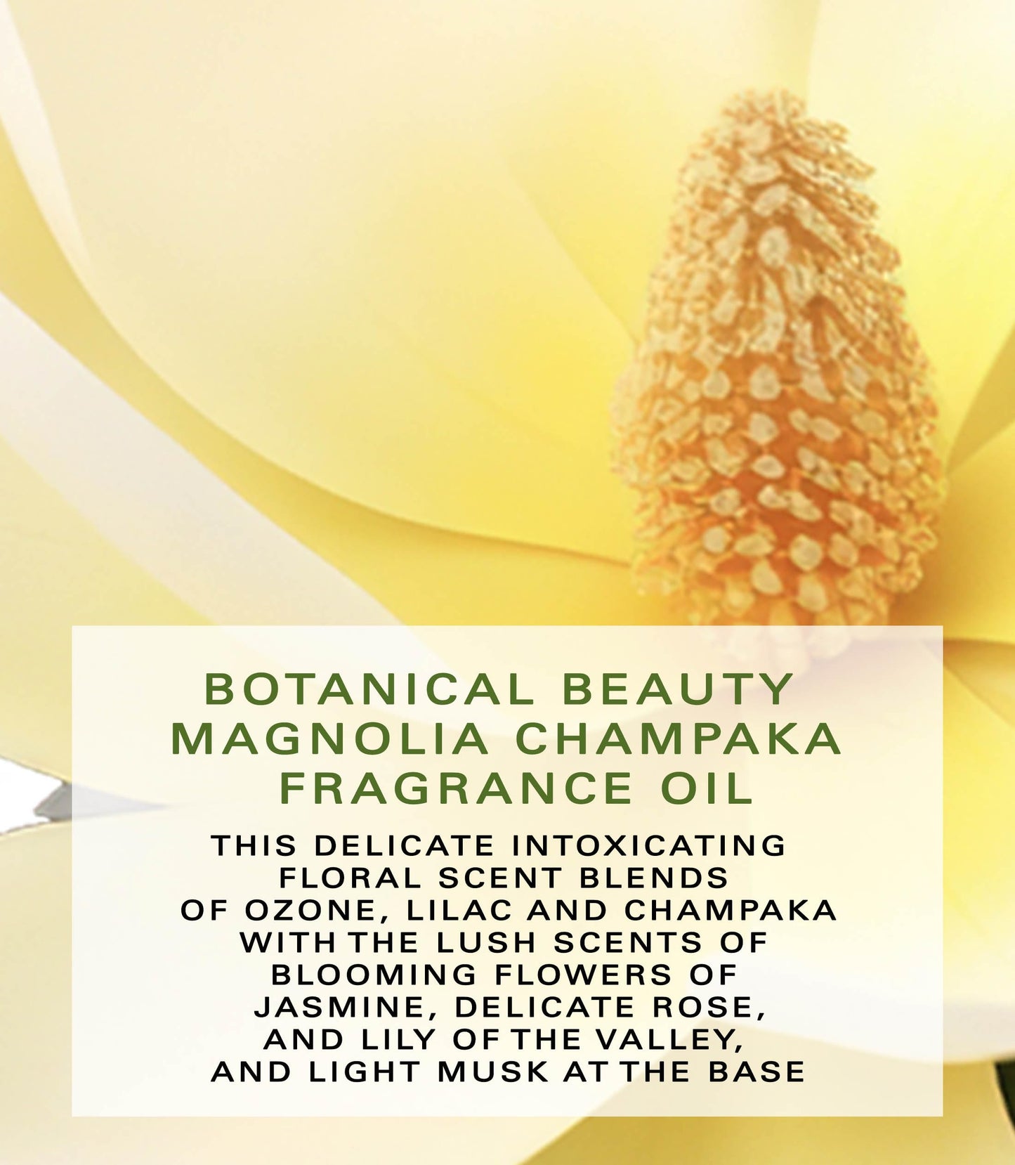 Botanical Beauty MAGNOLIA CHAMPAKA FRAGRANCE OIL ROLL-ON 0.338 Fl Oz 10 ml Rollerball Perfume, Long Lasting an luxury scent of blend of Lilac Beauty & Personal Care Botanical Beauty
