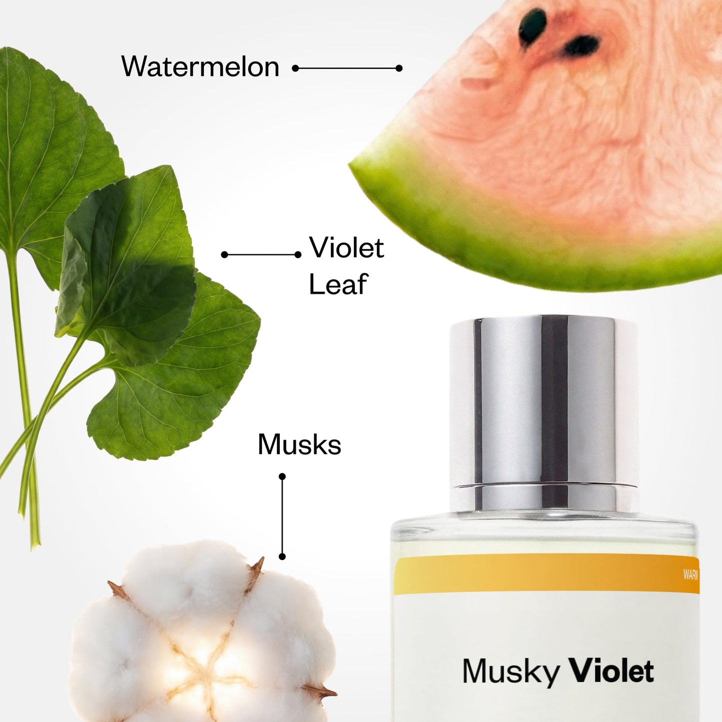 Dossier - Musky Violet - Eau de Parfum - Inspired by Mojave Ghost - Long-Lasting Fragrance - Unisex - 1.7 fl oz (50ml) Beauty & Personal Care Dossier