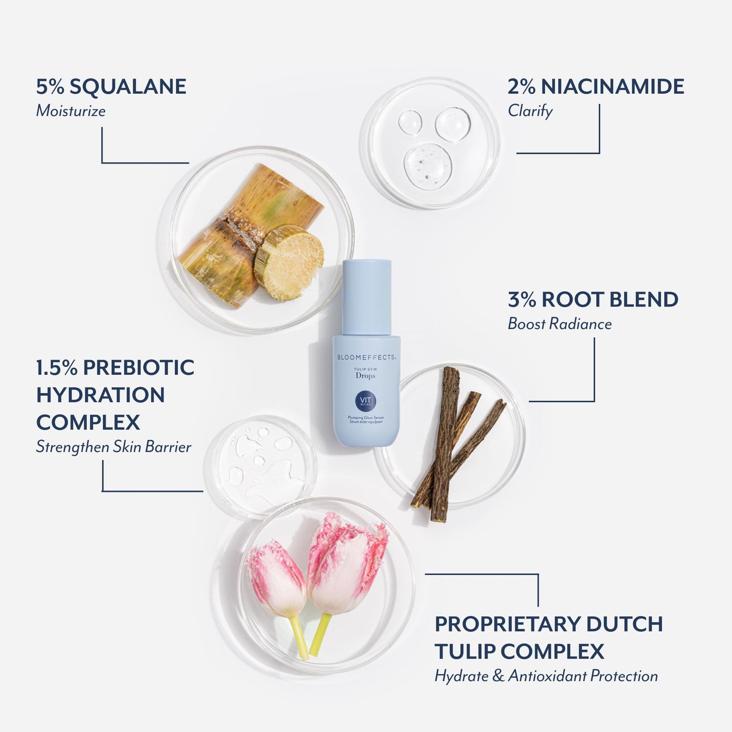 Bloomeffects - Royal Tulip Dew Drops | Plumping Multivitamin Glow Serum | Plump, Hydrate, Protect | Clean, Conscious Beauty | Leaping Bunny Certified Beauty & Personal Care Bloomeffects
