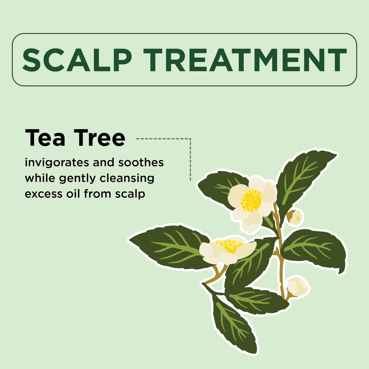 Bio Creative Lab Petal Fresh Conditioner, Tea Tree, 16 Ounce