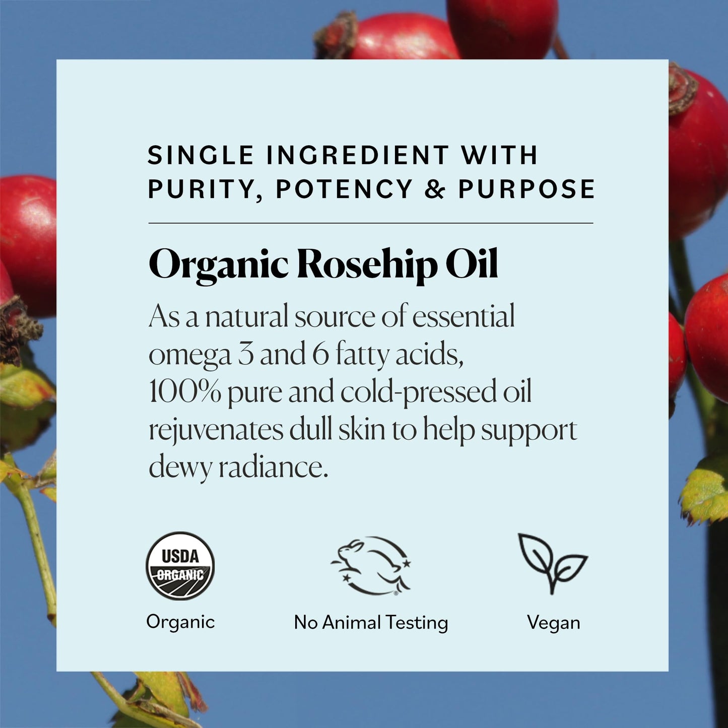 Sky Organics Travel Size Revitalizing Glow Face Oil, Rosehip Oil for Face - Nourishes Without Clogging Pores, Rosehip Seed Oil Organic for Bright Beauty & Personal Care Sky Organics