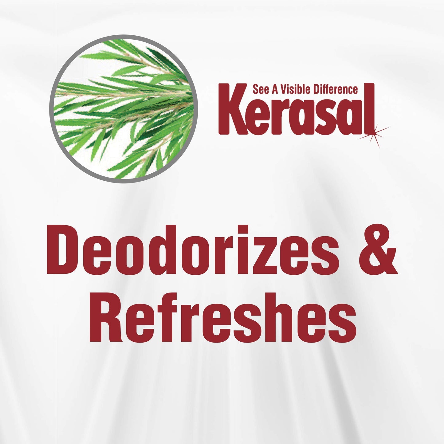 Kerasal Daily Defense Foot Wash Daily Cleanser for Feet, 12 Ounce (Packaging May Vary) Beauty & Personal Care Kerasal