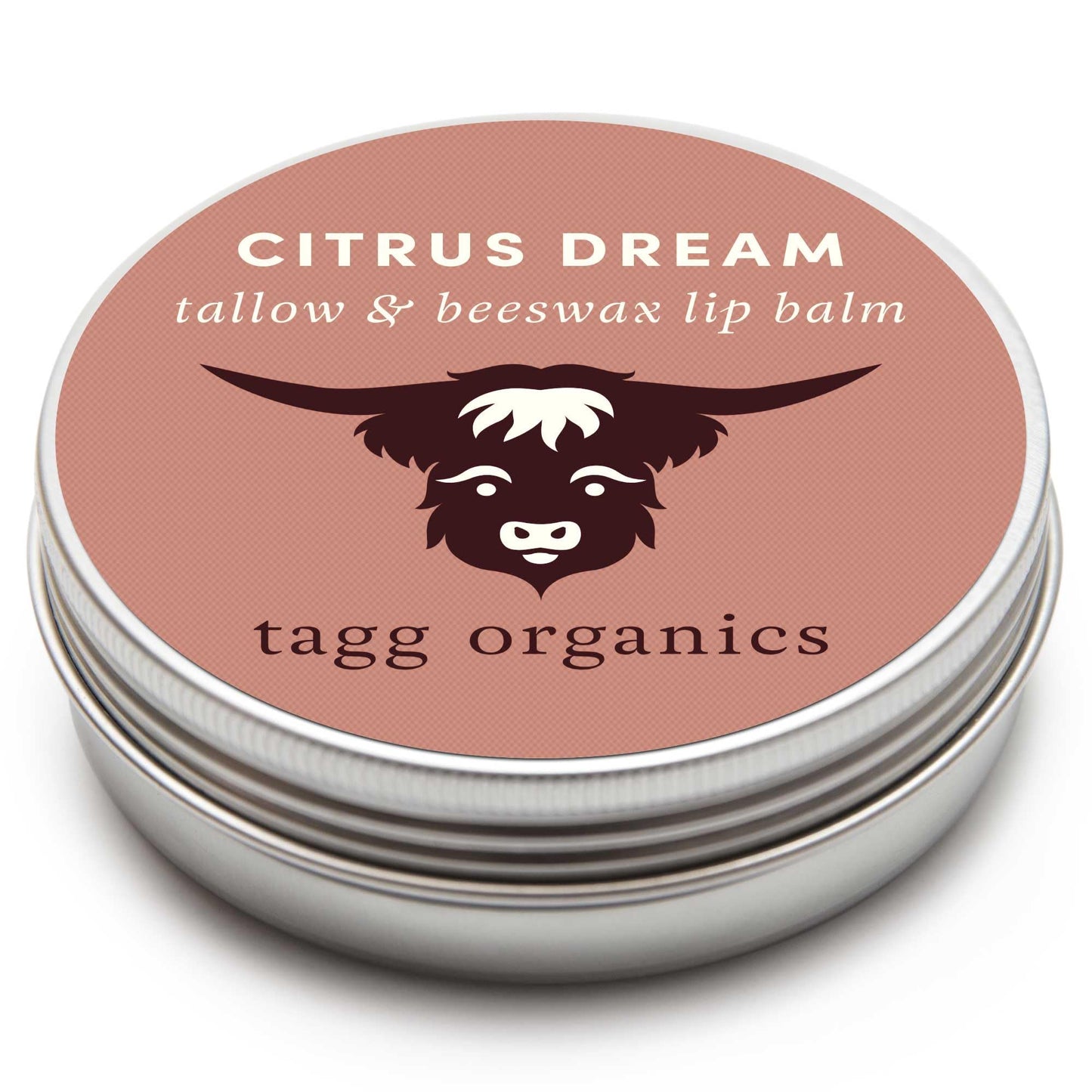 Citrus Dream Moisturizing Tallow Lip Balm - Nourishing & Soothing w/Organic Grass-Fed & Finished Tallow, 100% All Natural Beeswax & Essential Oils Beauty and Personal Care TAGG ORGANICS