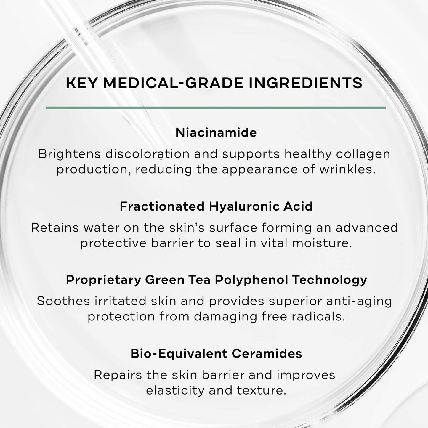 Replenix Age Restore Brightening Face Moisturizer with Hyaluronic Acid, Niacinamide & Ceramides, Medical-Grade Oil-Free Facial Cream for Mature Skin Beauty & Personal Care Replenix