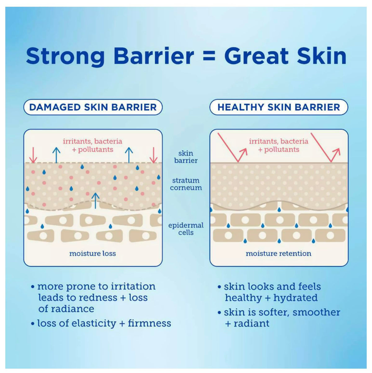 Barrier+ Barrier Buddies Heavy Hitters