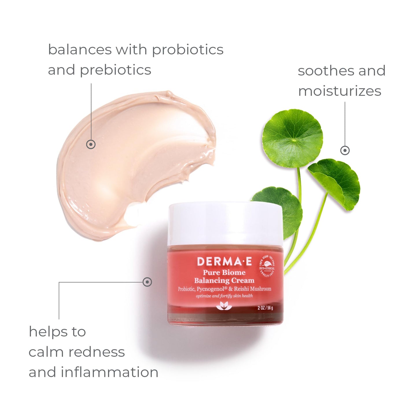 Derma E Pure Biome Balancing Cream, 2 OZ Beauty & Personal Care Derma E