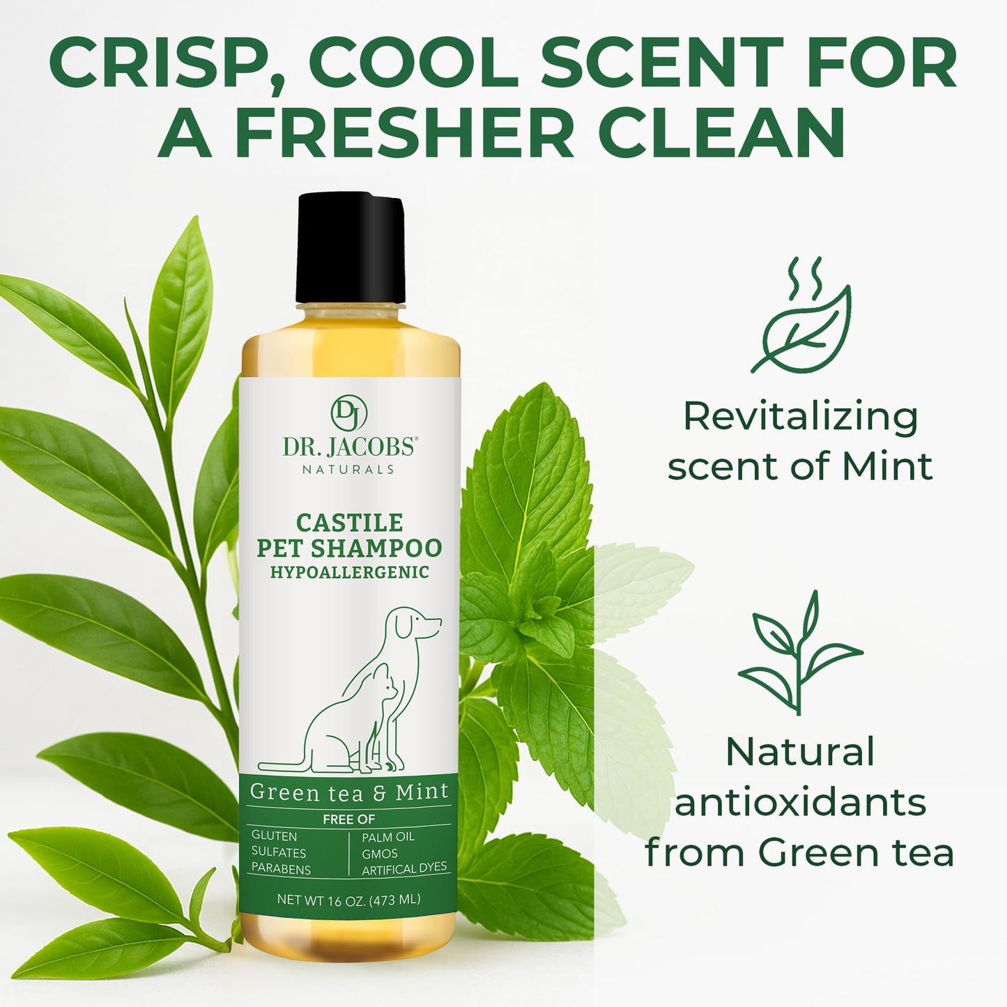 Dr. Jacobs Naturals Pure Castile Soap Liquid Body Wash, Lavender - Plant Based Soap Infused with Vitamin E and Aloe Vera to Moisturize Dry Beauty & Personal Care DR.JACOBS NATURALS