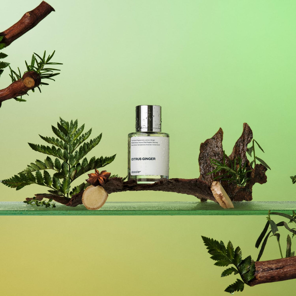 Dossier - Citrus Ginger - Eau de Parfum - Perfume Luxury - Pure Infused - For Men - Fragrance 1,7 Fl 0z (50ml) Beauty & Personal Care Dossier