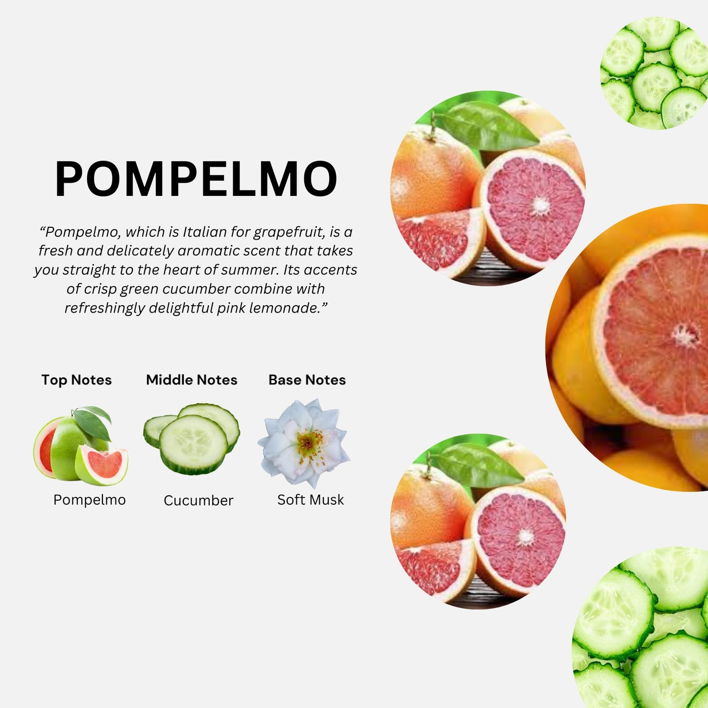 Cucina Fruits & Passion Pompelmo Hand Soap Refill 33.8 fl oz - Grapefruit Scent, Olive Oil Formula, Kitchen Hand Wash, Made in Canada - 2 Pack Beauty & Personal Care Cucina