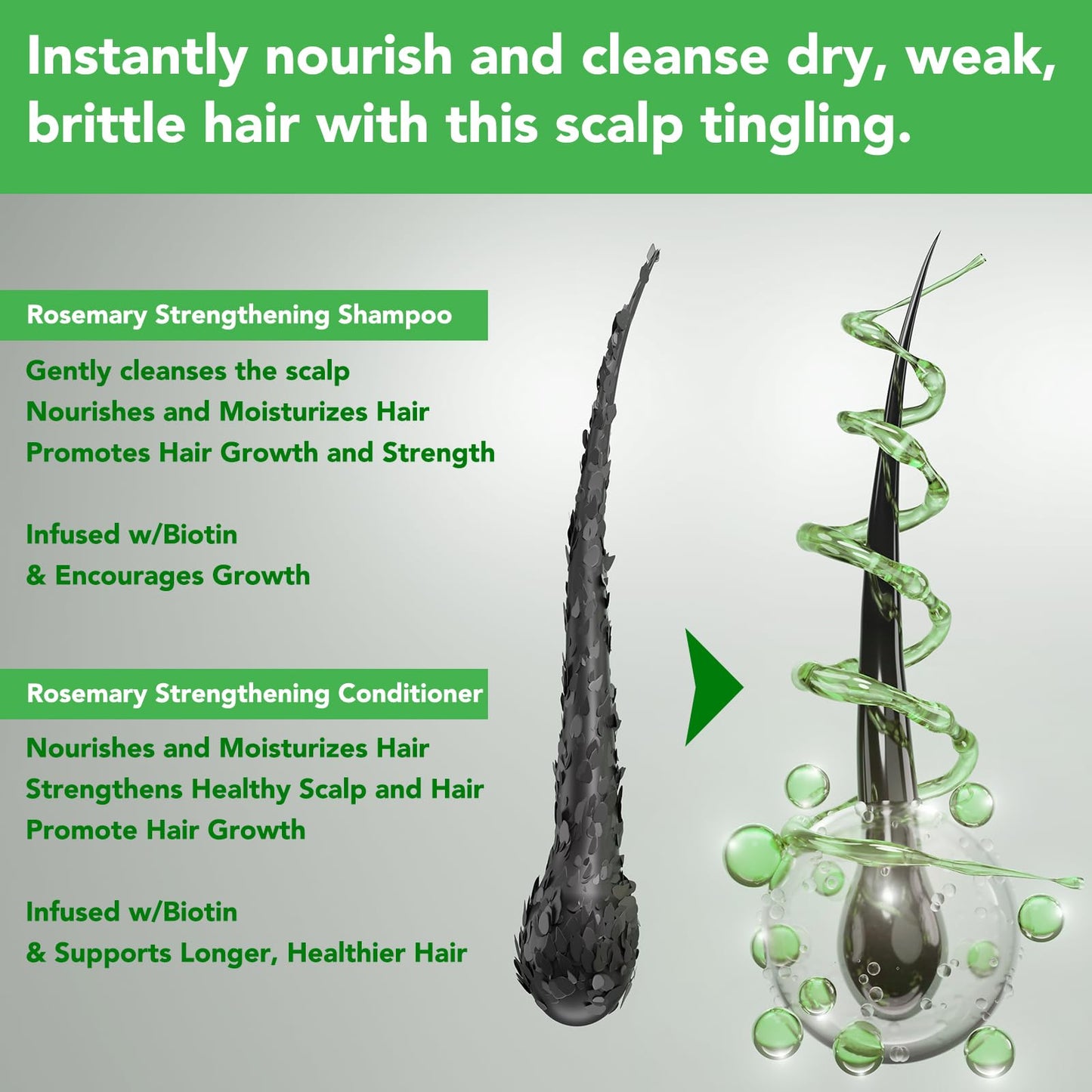 Rosemary Mint Shampoo and Conditioner set Infused with Biotin Promotes Hair Growth & Scalp Health, Strengthen Weak and Brittle Hair for All Hair Types Beauty & Personal Care FSLHCY