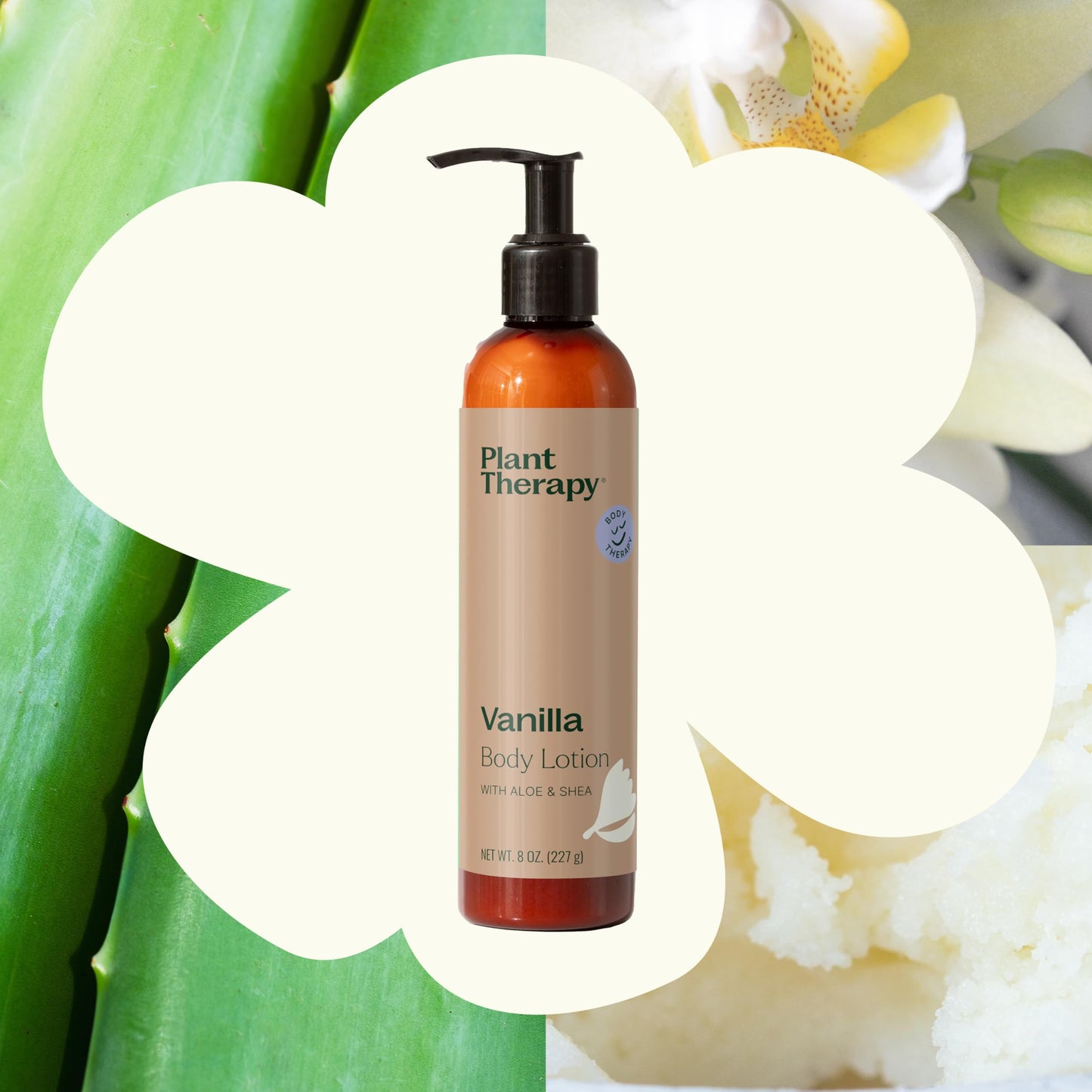 Plant Therapy Vanilla Body Lotion with Aloe and Shea 8 oz Sweet Vanilla Scent, Naturally Moisturizing Ingredients, Soothes & Nourishes Skin Beauty & Personal Care Plant Therapy