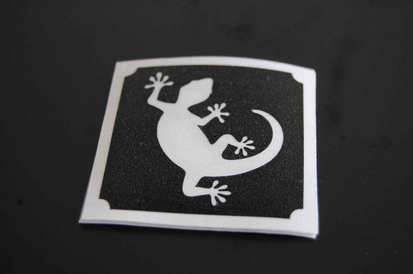Lizard Make Up Stencil- 5 Pack Beauty & Personal Care DIRECTGLOW LLC