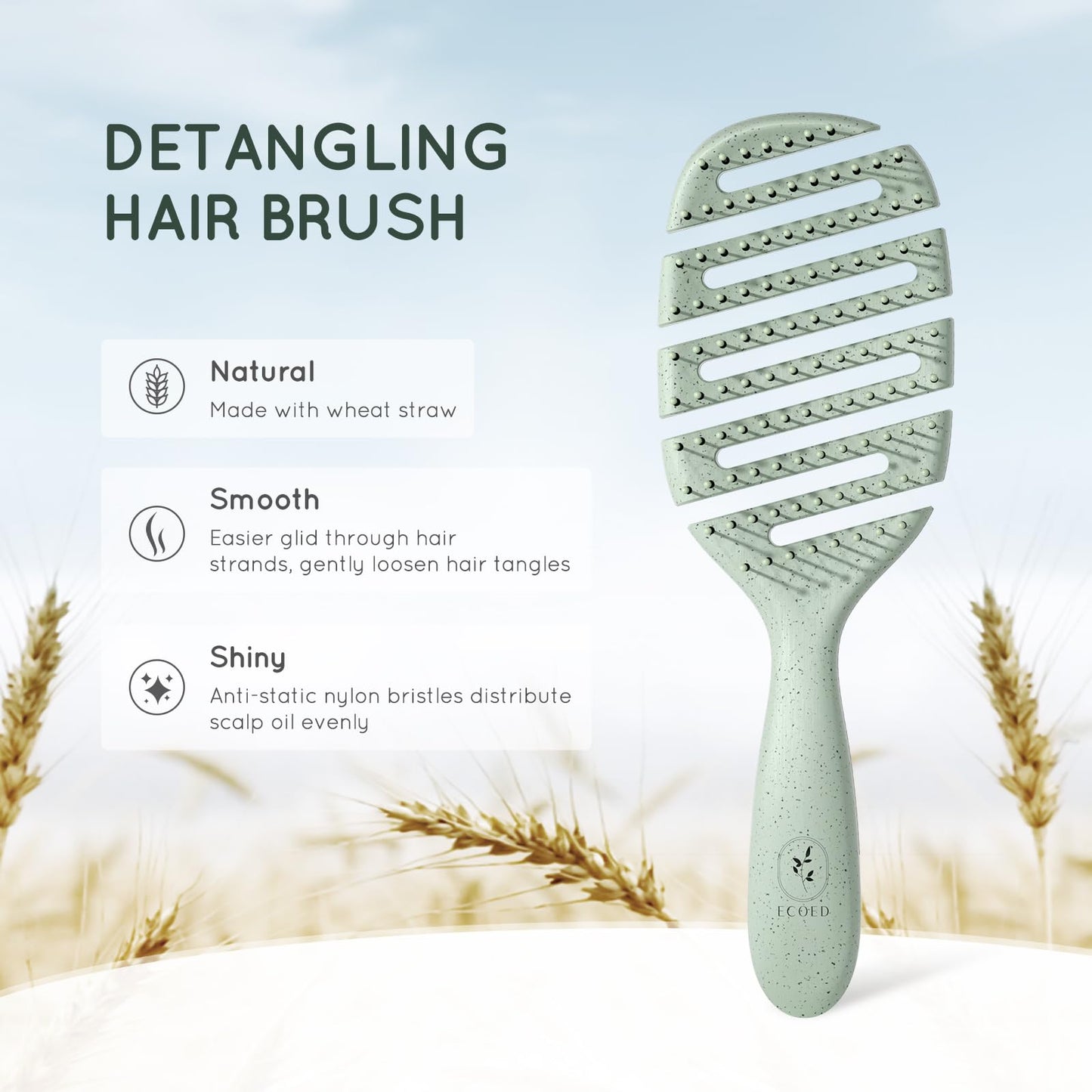 Ecoed Detangler Hairbrush, Soft Bristle Detangling Brush for Straight, Wavy, Curly and Fine Hair, Dry and Wet, Quick Smoothing for Women and Men Beauty & Personal Care ecoed