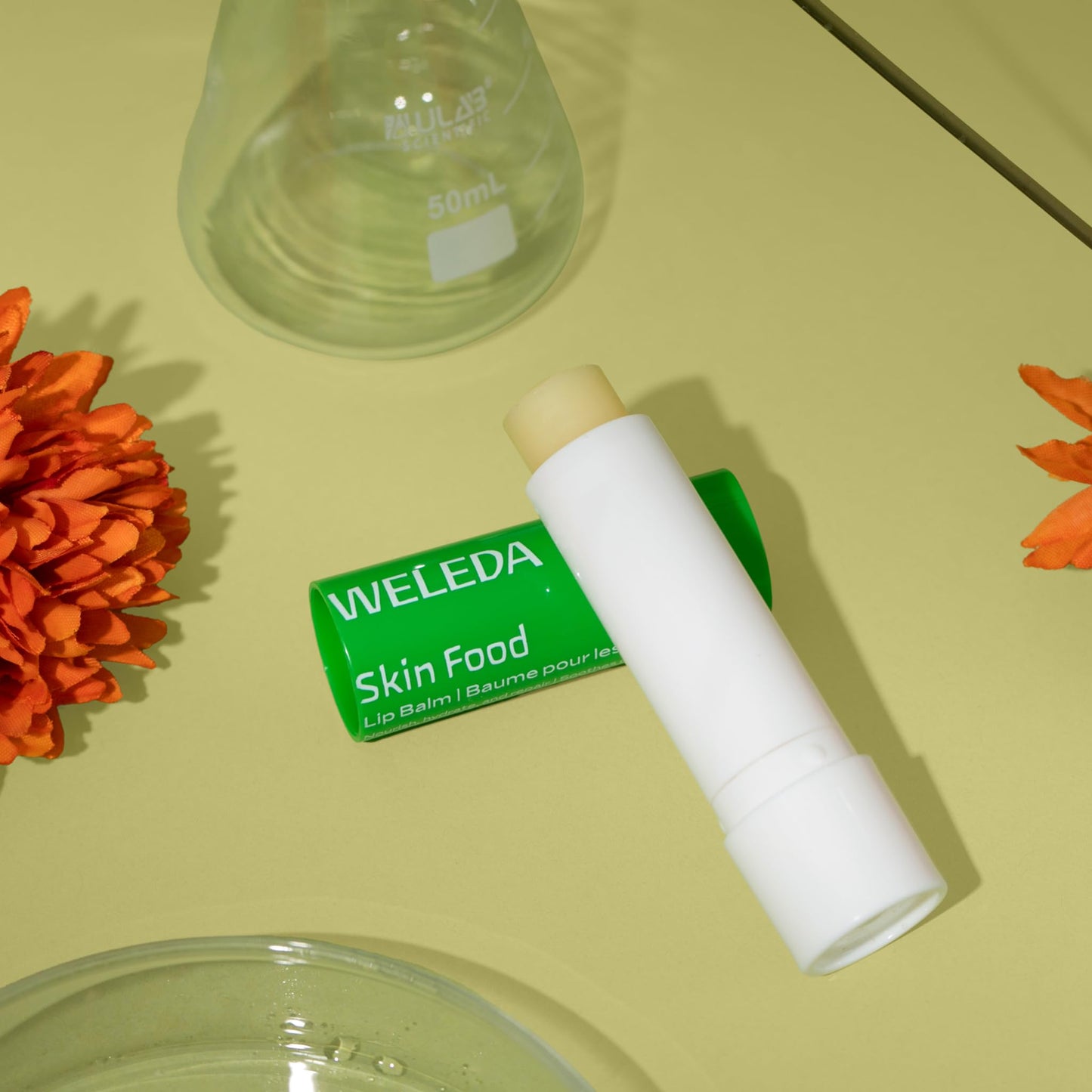 Weleda Skin Food Lip Balm Beauty and Personal Care Weleda