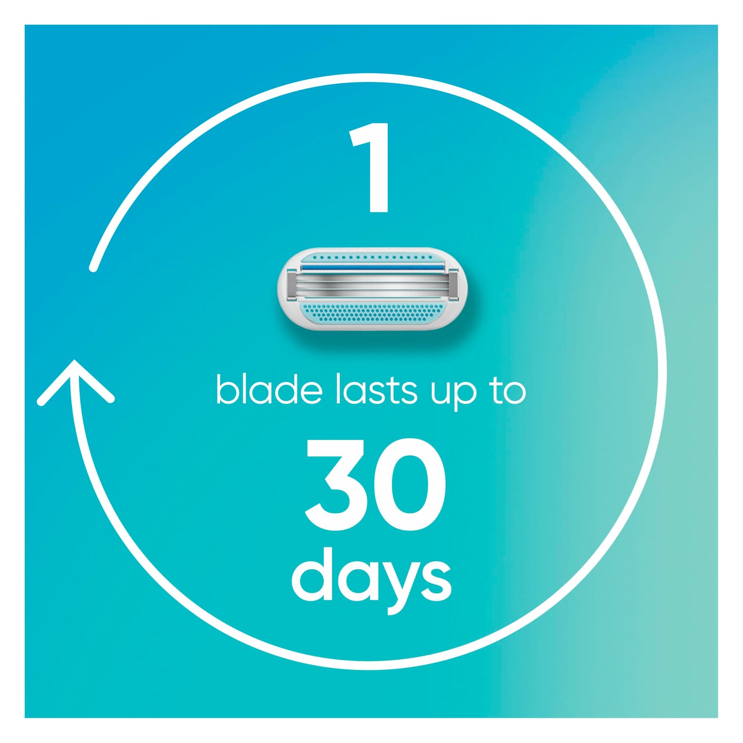 Gillette Venus Smooth Womens Razor Blade Refills, 8 Count, Lubracated to Protect the Skin from Irritation Beauty and Personal Care Gillette Venus