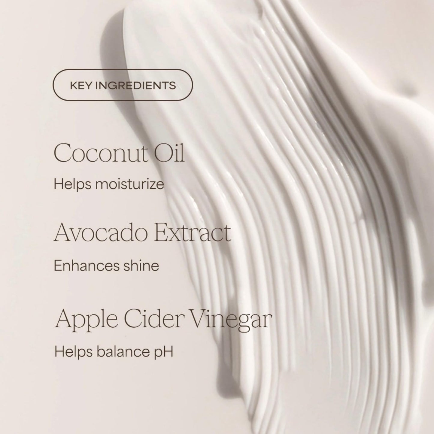 RAW SUGAR The Mighty Curl™ Shampoo and Conditioner Set, Rosemary + Cider Vinegar, 16 Fl Oz Each, 2 Count Beauty & Personal Care RAW SUGAR