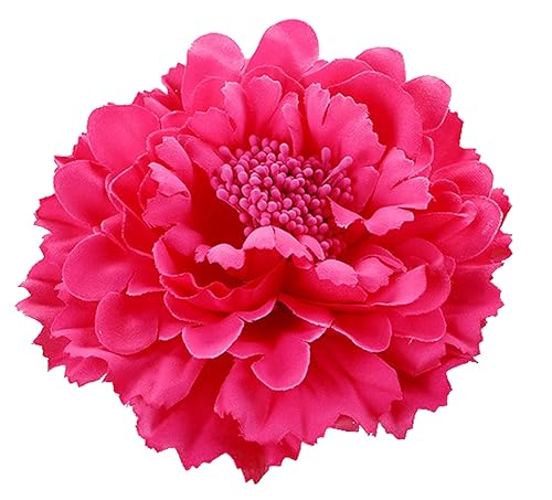Hair Flower Clips Brooch Boutique Hair Accessories Bohemia Hairpins for Women Girls (Rose) Beauty & Personal Care Geek-M