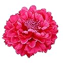 Hair Flower Clips Brooch Boutique Hair Accessories Bohemia Hairpins for Women Girls (Rose) Beauty & Personal Care Geek-M