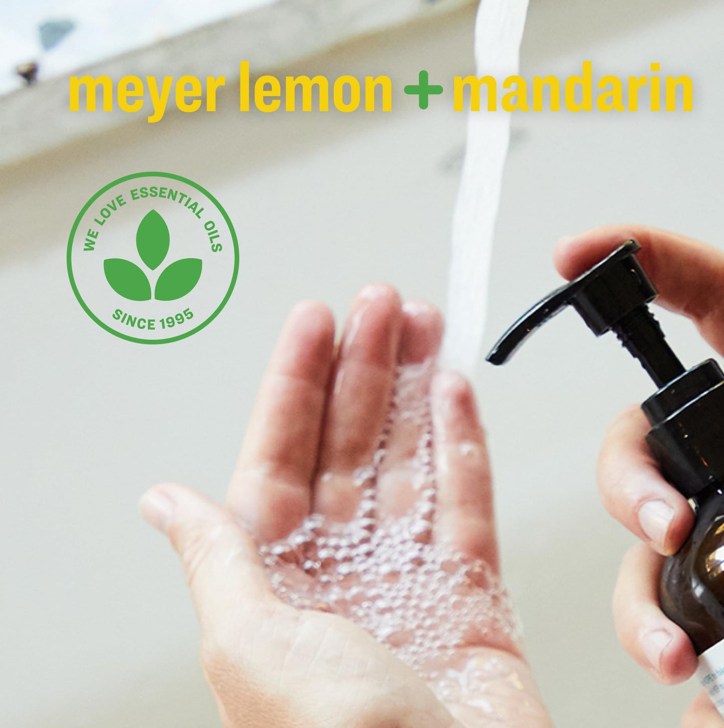 Everyone Liquid Hand Soap, 12.75 Ounce (Pack of 1), Meyer Lemon and Mandarin, made with Essential Oils for Kitchen and Bathroom Beauty & Personal Care everyone for every body