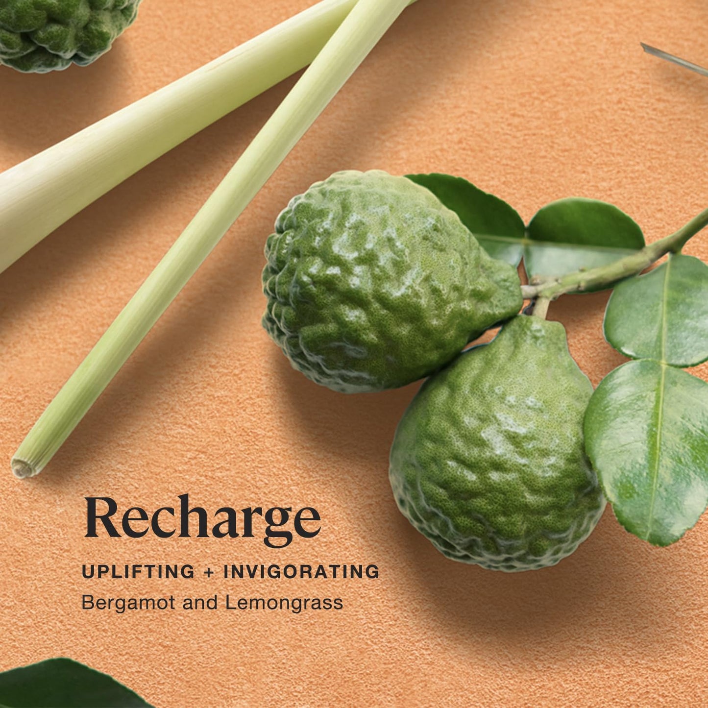 Sprig by Kohler Bergamot + Lemongrass Bath Bomb, Hypoallergenic, Made with Natural Botanicals & Premium Skincare Ingredients (Shea Butter, Coconut… Beauty & Personal Care Kohler
