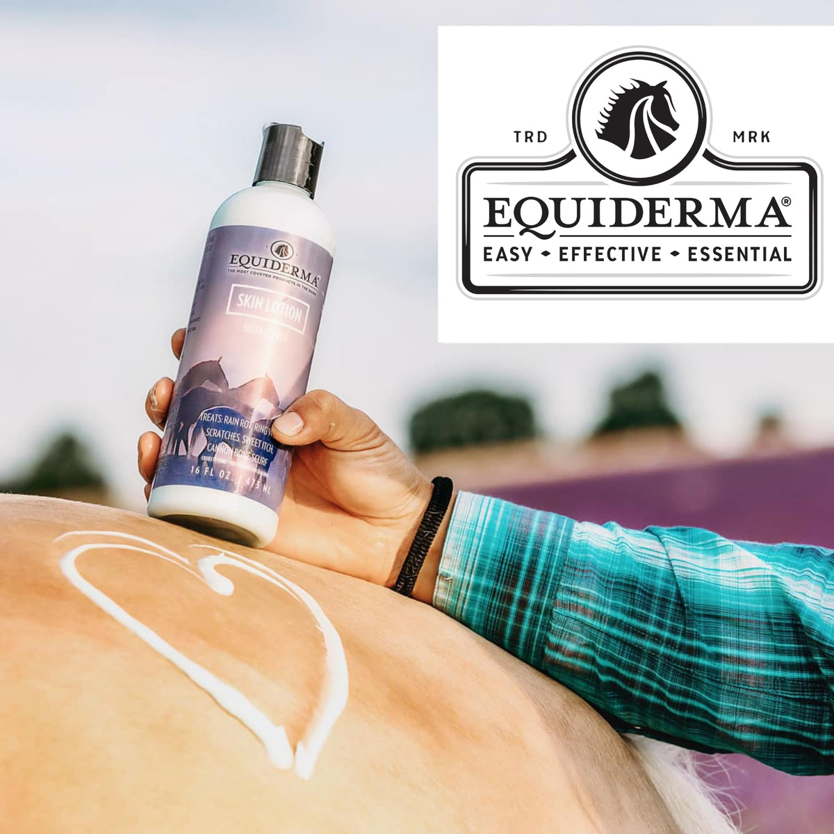 EQUIDERMA Horse Skin Lotion - 16 oz | All-in-One Equine Skin Care for Cannon Bone Scurf, Mane & Tail Itching, Midline Irritation, Dry Patches & Coat