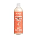 RENPURE Plant-Based Beauty Whipped Coconut & Peony Curl + Shine Shampoo, 16 Fluid Ounce Beauty & Personal Care RENPURE