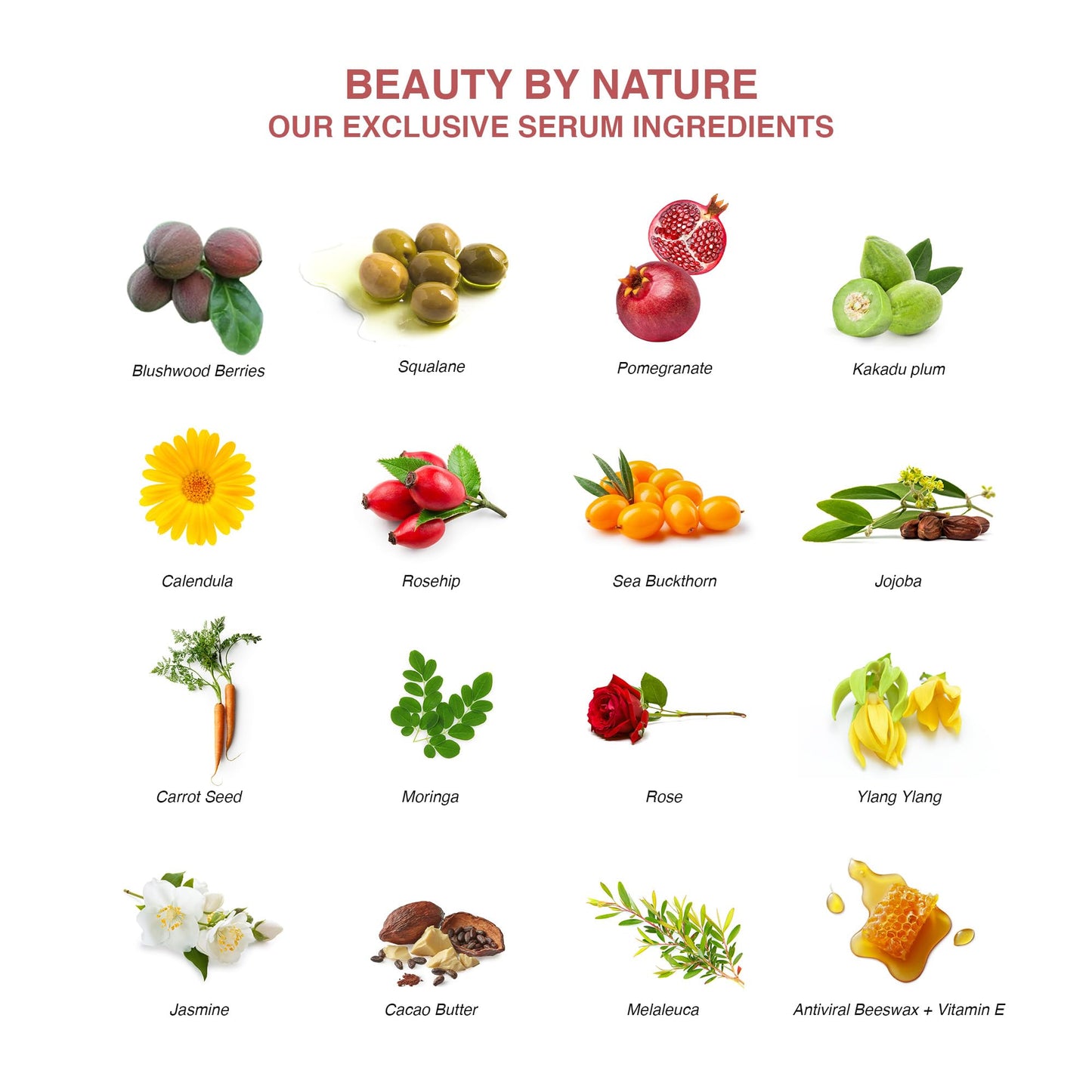 Aussie Pure Blushwood Beauty Botanical Facial Serum, Blushwood Berry (EBC-46) + Kakadu Plum Vitamin C, Antioxidant Hydrating Face Serum for Dewy Glow Beauty & Personal Care Aussie Pure