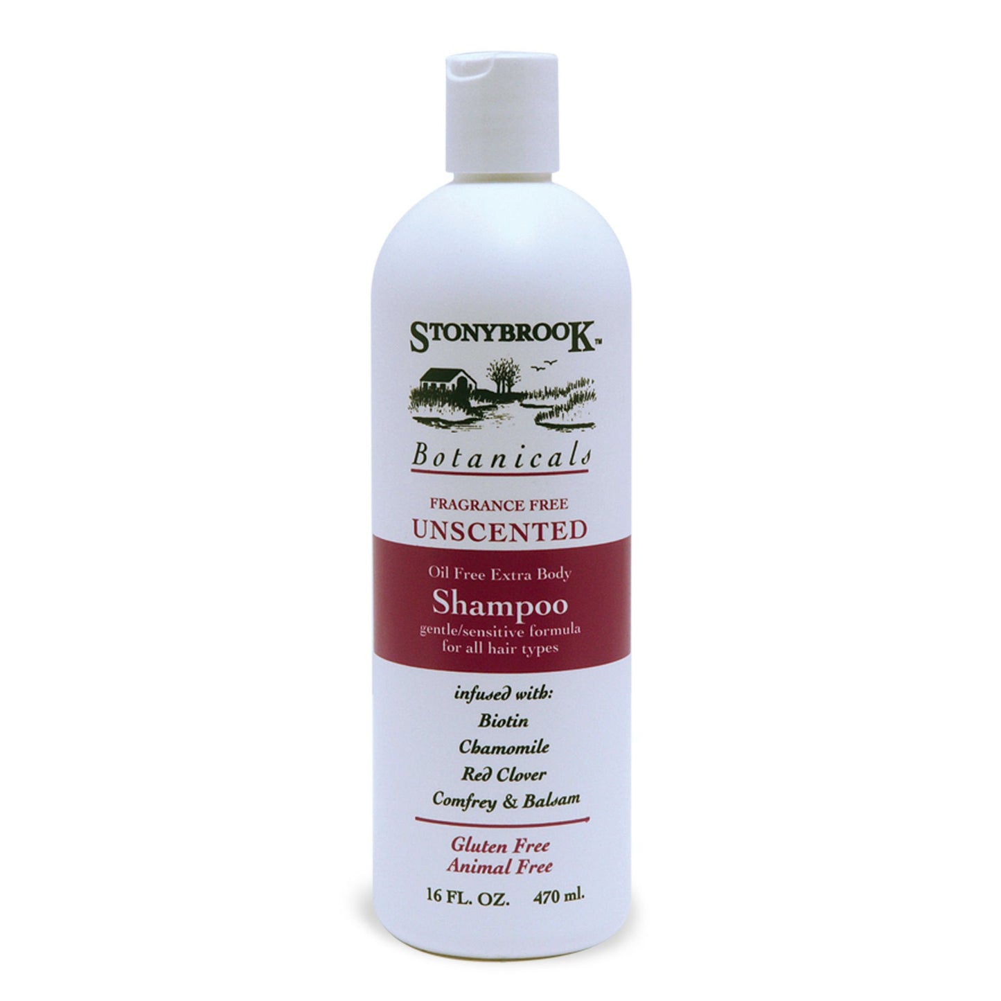 Stoneybrook STONEY BROOK SHAMPOO,UNSCENTED, 16 FZ, EA-1 Beauty & Personal Care Stonybrook