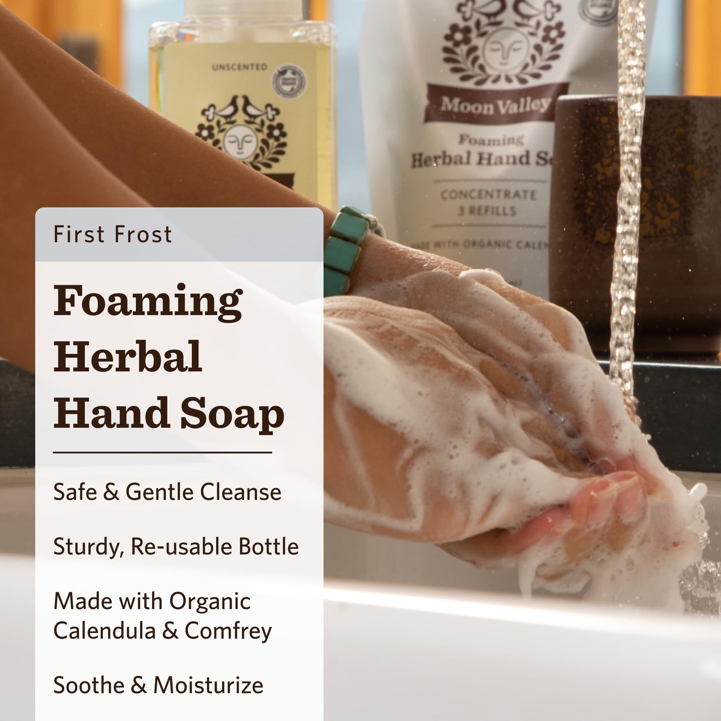 Moon Valley Herbal Foaming Hand Soap, Vegan (First Frost, Recyclable Bottle) Beauty & Personal Care Moon Valley Organics