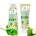 Herbal Shampoo and Conditioner Set with Leech Lime & Centella - Gentle Hair Care for Healthy-Looking Hair, Paraben-, Sulfate- & Silicone-Free, Vegan Beauty & Personal Care KHAOKHO