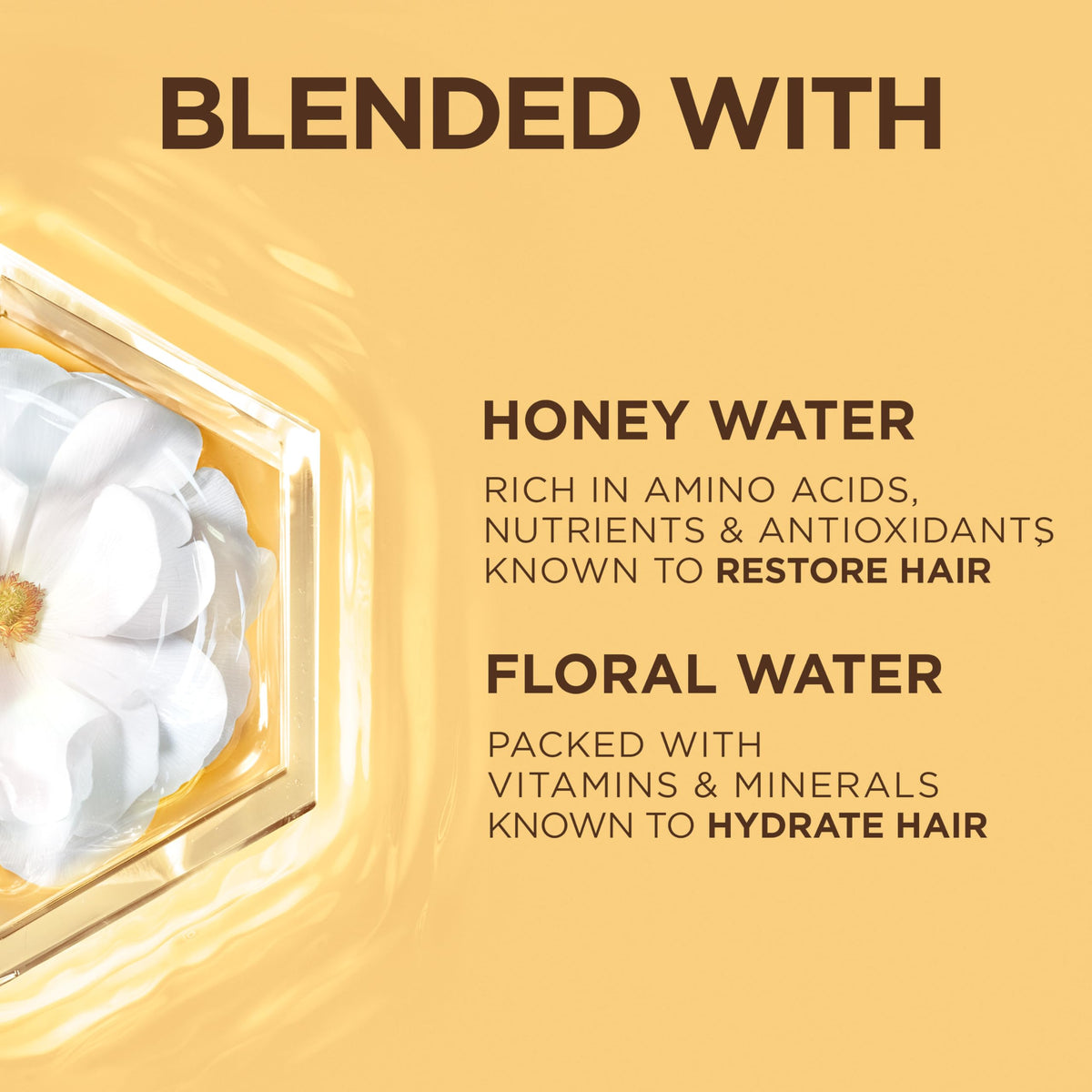 Garnier Whole Blends Honey Water Cream, 100 Hours Moisture Lock, Dry Hair, Scalp, Honey Nectar and Floral Water, Pack of 2