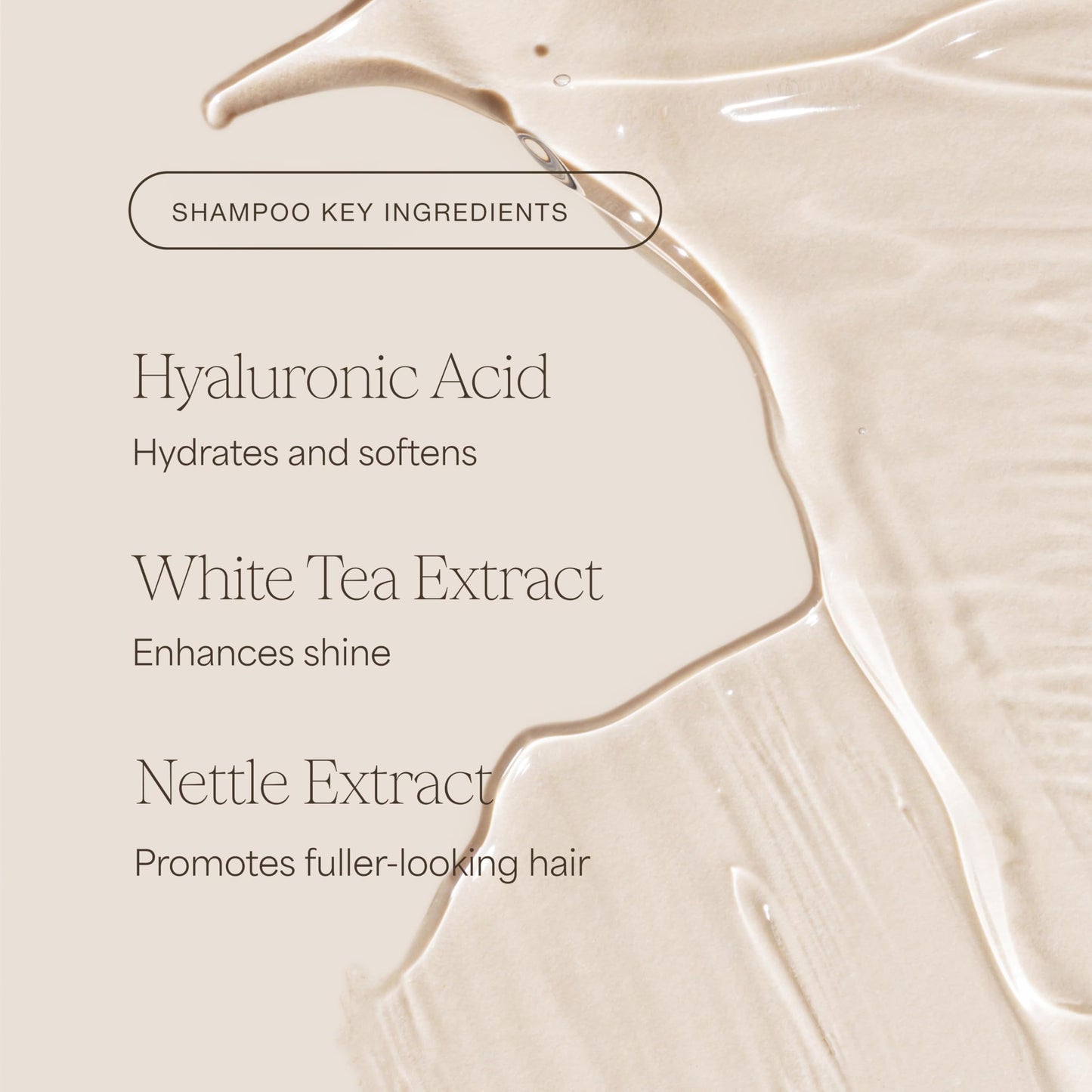 Raw Sugar Shampoo and Conditioner Set, The Volume Revive Hair Care Duo, 16 Fl Oz (2 Products) Boosts Volume, A Volumizing Haircare Bundle, Without Beauty & Personal Care RAW SUGAR