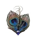 Women Bohemian Peacock Feather Hair Clip Hair Pin Elegant Fascinator Wedding Dance Party Headdress Headwear Hair Accessory Sequined Showgirl Headpiece Beauty & Personal Care Fodattm