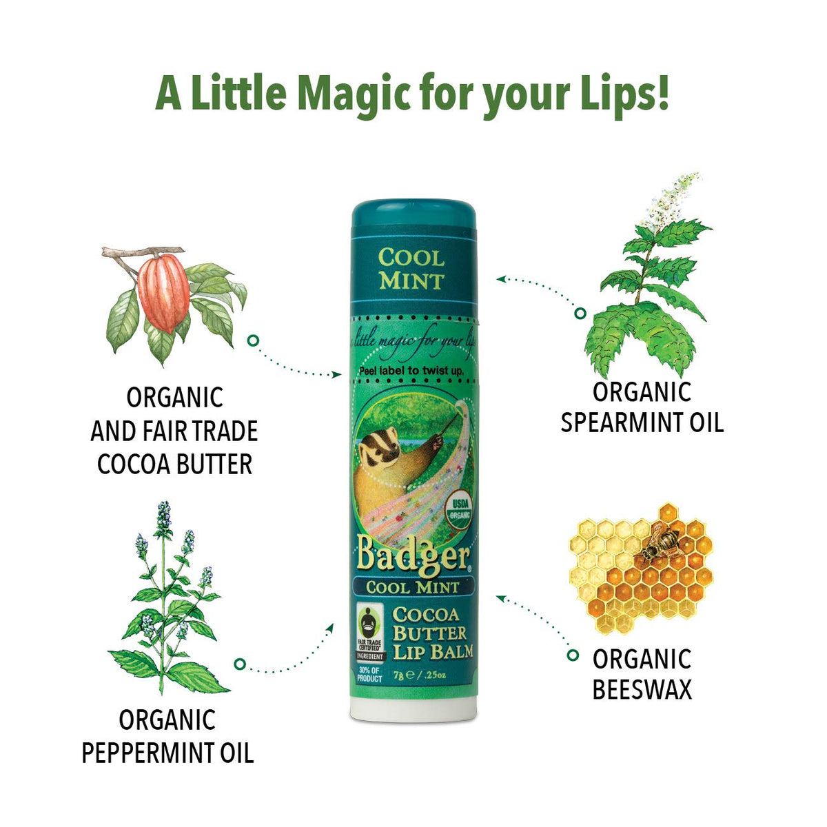 Badger Lip Balm Cool Mint, 0.25 Ounce Beauty & Personal Care Badger
