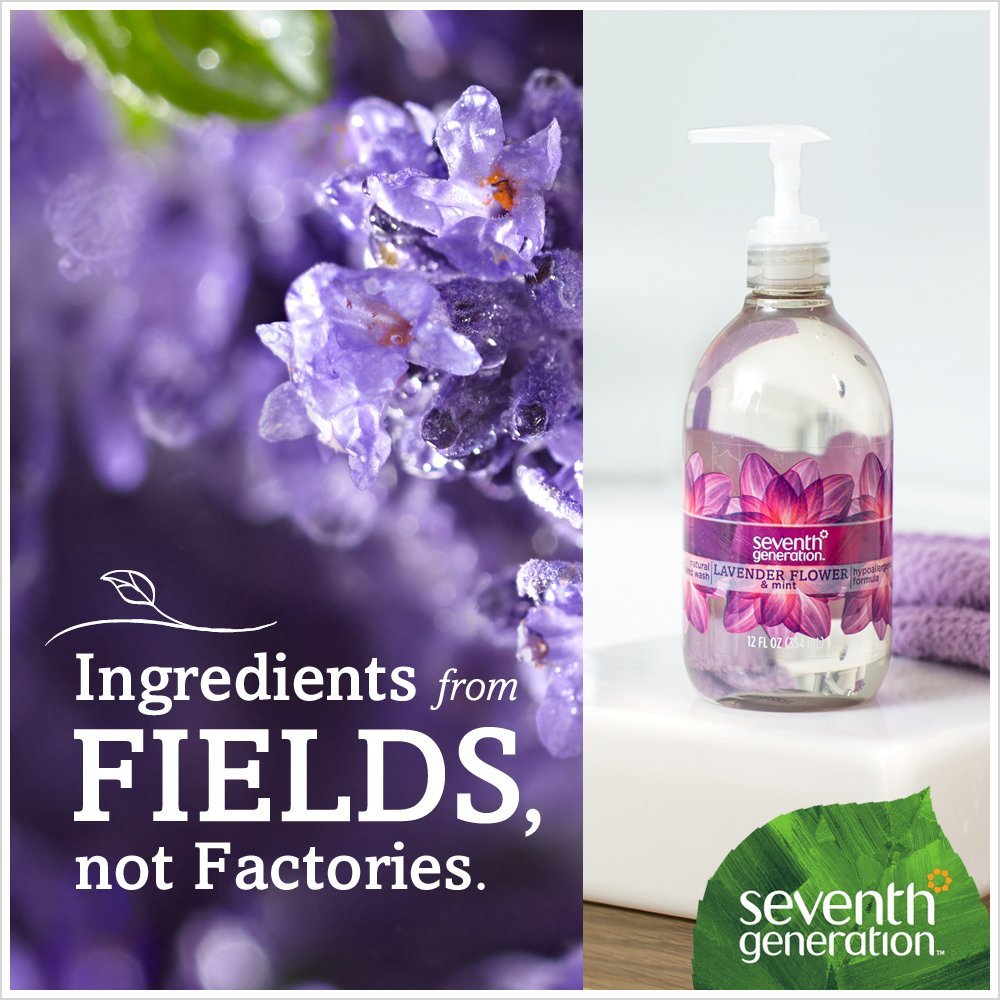Seventh Generation Hand Wash, Lavender, 12 Ounce Beauty & Personal Care Seventh Generation