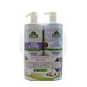 Spanish garden shampoo and Conditioner, 16 Fl Oz (Pack of 2), Clear Beauty & Personal Care Spanish Garden